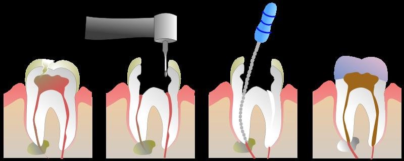 Clar Estet-clinica stomatologica